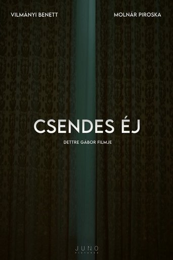 Poster of Csendes éj