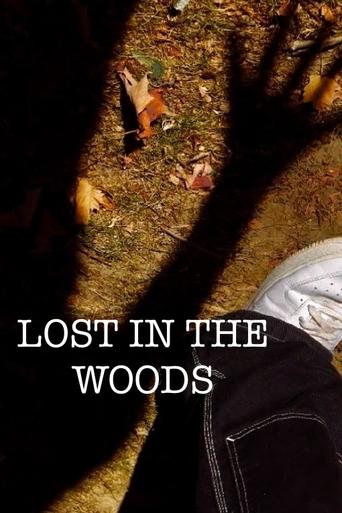 Poster of Lost In the Woods