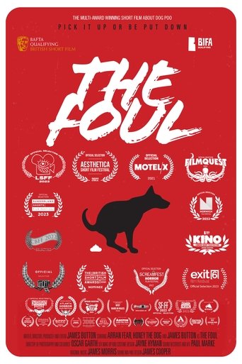 Poster of The Foul