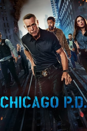 Portrait for Chicago P.D. - Season 12