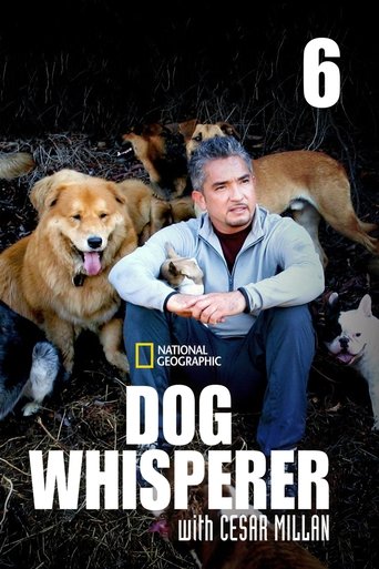 Portrait for Dog Whisperer - Season 6