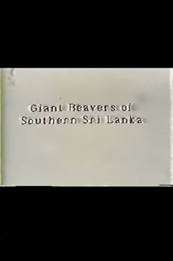 Poster of Giant Beavers of Southern Sri Lanka