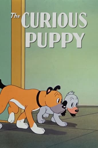 Poster of The Curious Puppy