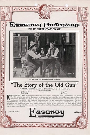 Poster of The Story of the Old Gun