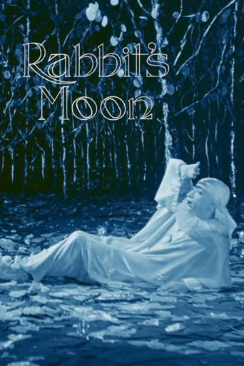 Poster of Rabbit's Moon