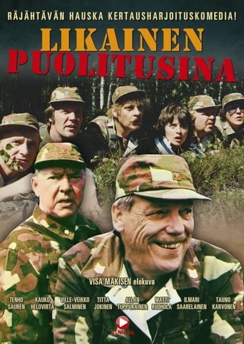 Poster of Likainen puolitusina