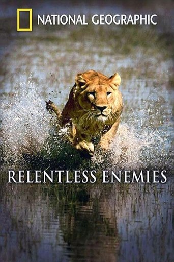 Poster of Relentless Enemies: Lions and Buffalo