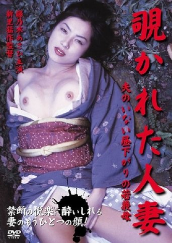 Poster of Mother-in-law Of The Afternoon Young Married Woman With No Husband Was Peeped