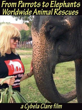 Poster of From Parrots to Elephants: Worldwide Animal Rescues