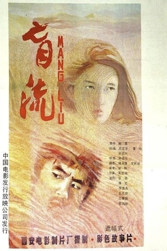 Poster of 盲流