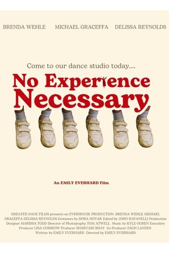 Poster of No Experience Necessary