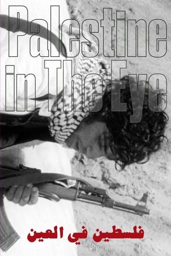 Poster of Palestine in the Eye