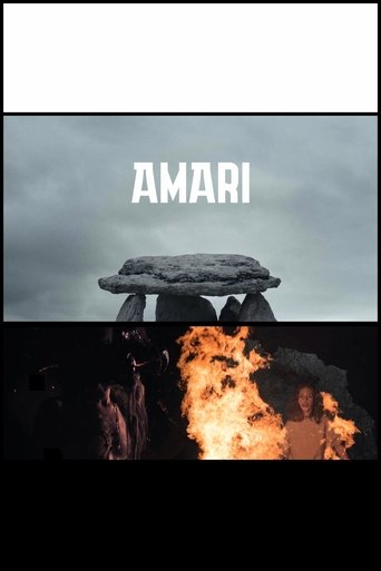Poster of Amari