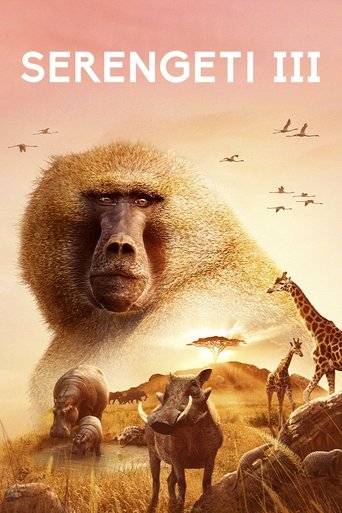 Portrait for Serengeti - Season 3