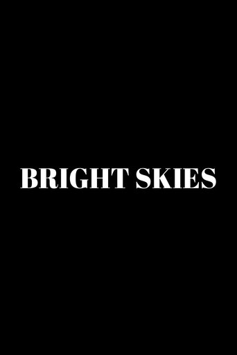 Poster of Bright Skies