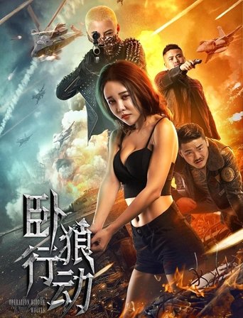 Poster of 卧狼行动