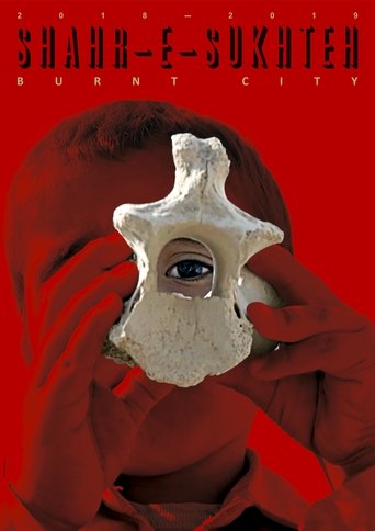 Poster of The Burnt City