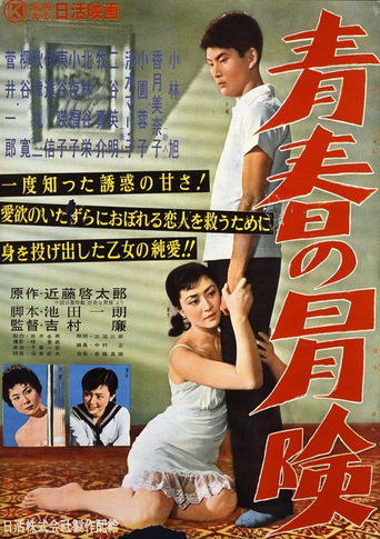 Poster of The Way of Youth