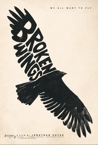 Poster of Broken Wings