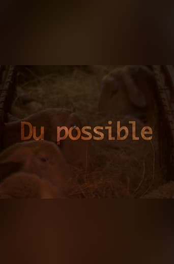 Poster of Du possible