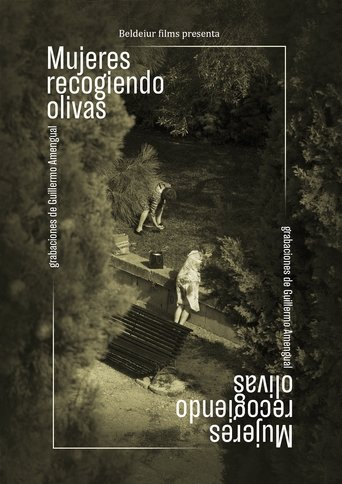 Poster of Women picking up olives