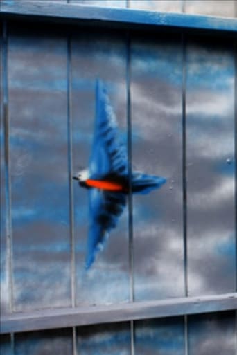 Poster of Spirit of the Bluebird