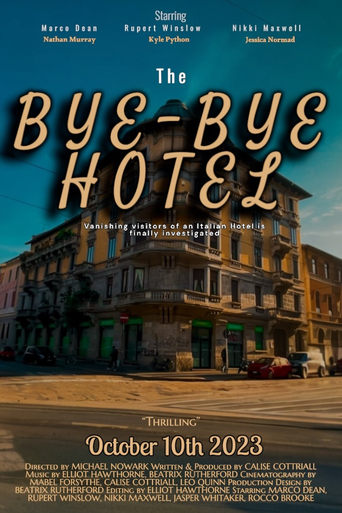 Poster of The Bye-Bye Hotel