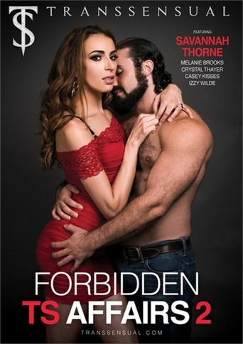 Poster of Forbidden TS Affairs 2