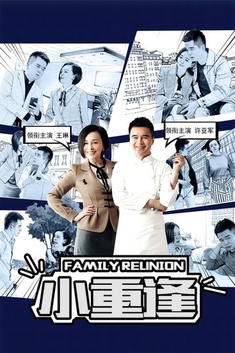 Poster of Family Reunion