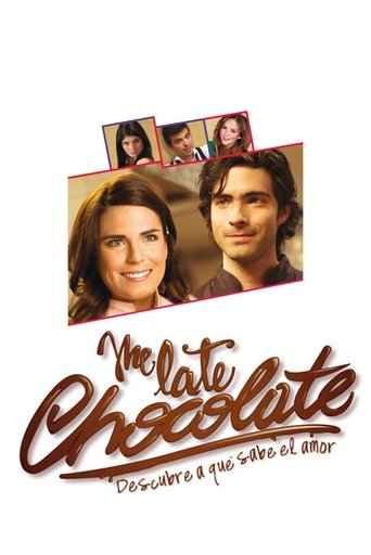 Poster of Love Taste like Chocolate