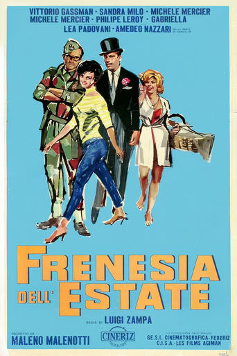 Poster of Summer Frenzy