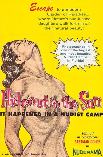 Poster of Hideout in the Sun