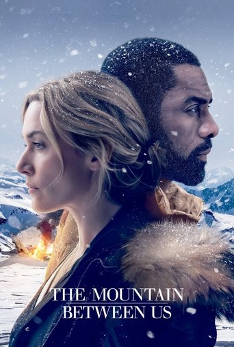 Poster of The Mountain Between Us