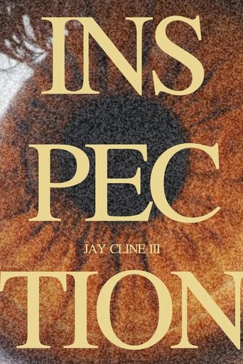Poster of INSPECTION