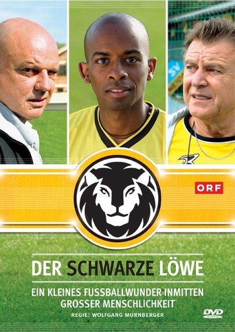 Poster of Der schwarze Löwe