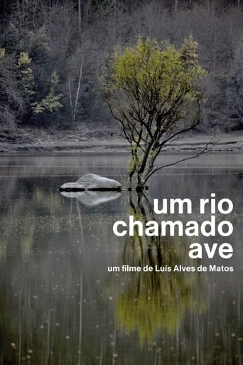 Poster of Um Rio Chamado Ave