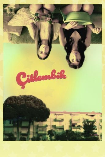 Poster of Çitlembik