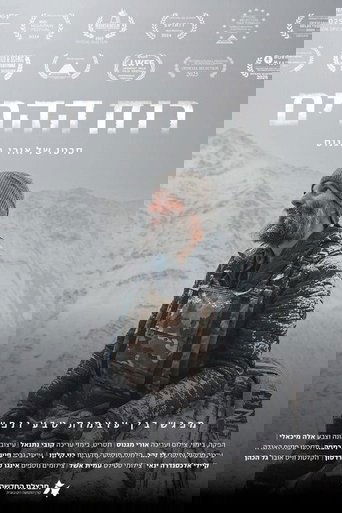 Poster of Hidden Spirit