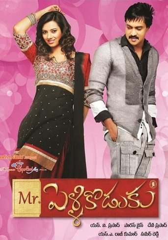 Poster of Mr.PelliKoduku