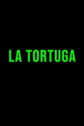 Poster of The Turtle