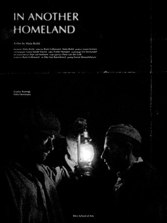 Poster of In Another Homeland