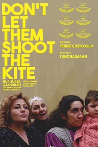 Poster of Don't Let Them Shoot the Kite