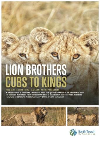 Poster of Lion Brothers: Cubs to Kings