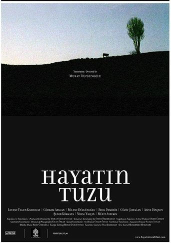 Poster of Hayatın Tuzu