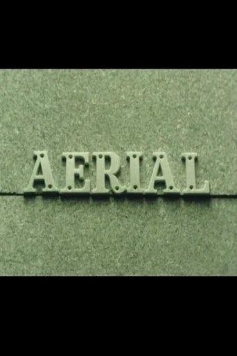 Poster of Aerial