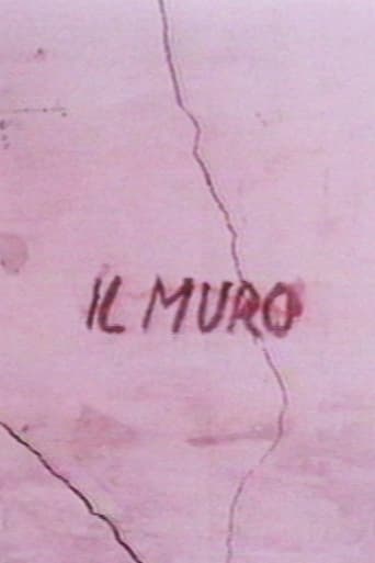 Poster of Il muro