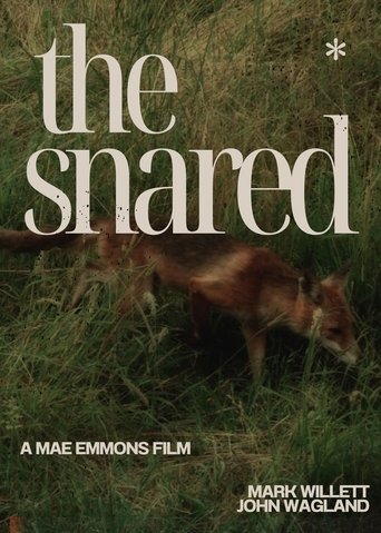 Poster of The Snared