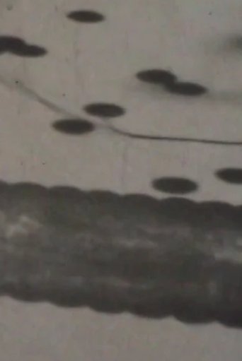 Poster of Patterns of Lights and Shadows