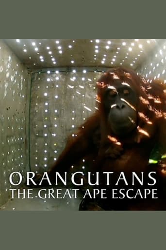 Poster of Orangutans: The Great Ape Escape