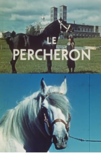 Poster of The Percheron